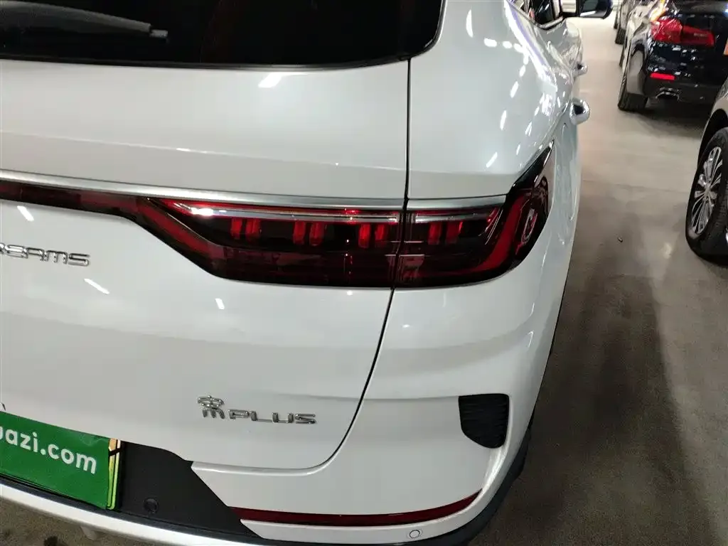 BYD PLUS New Energy — фото 4