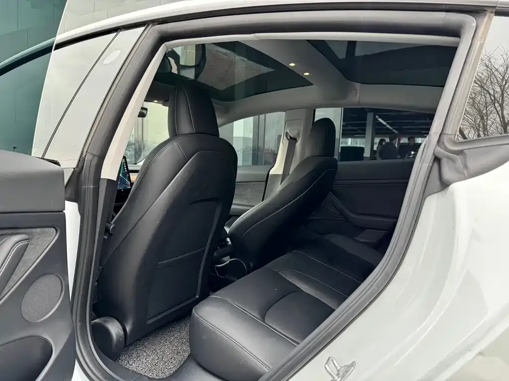 Tesla Model 3 2021 из CN, фото 2
