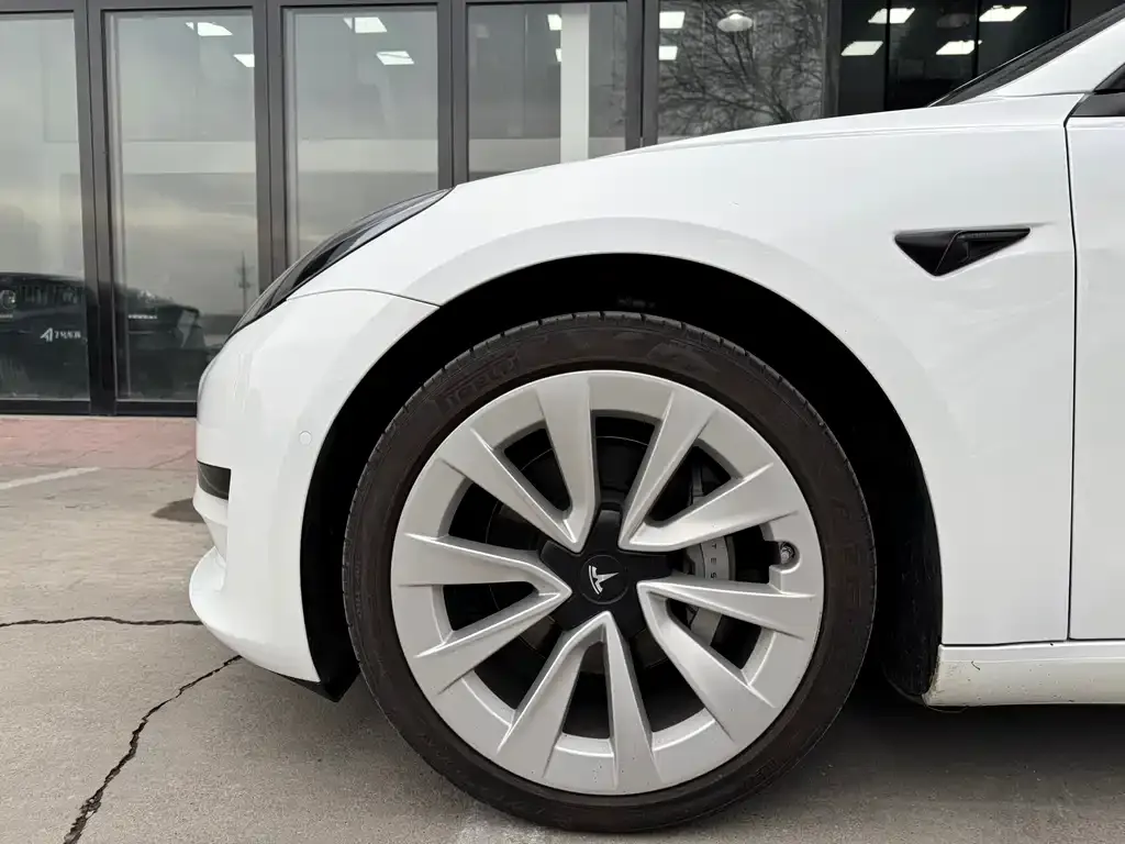 Tesla Model 3 2021 из CN, фото 5