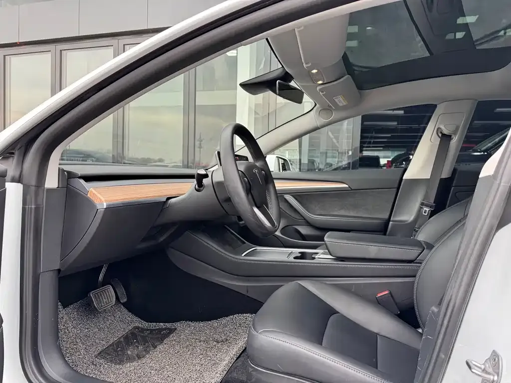 Tesla Model 3 2021 из CN, фото 9