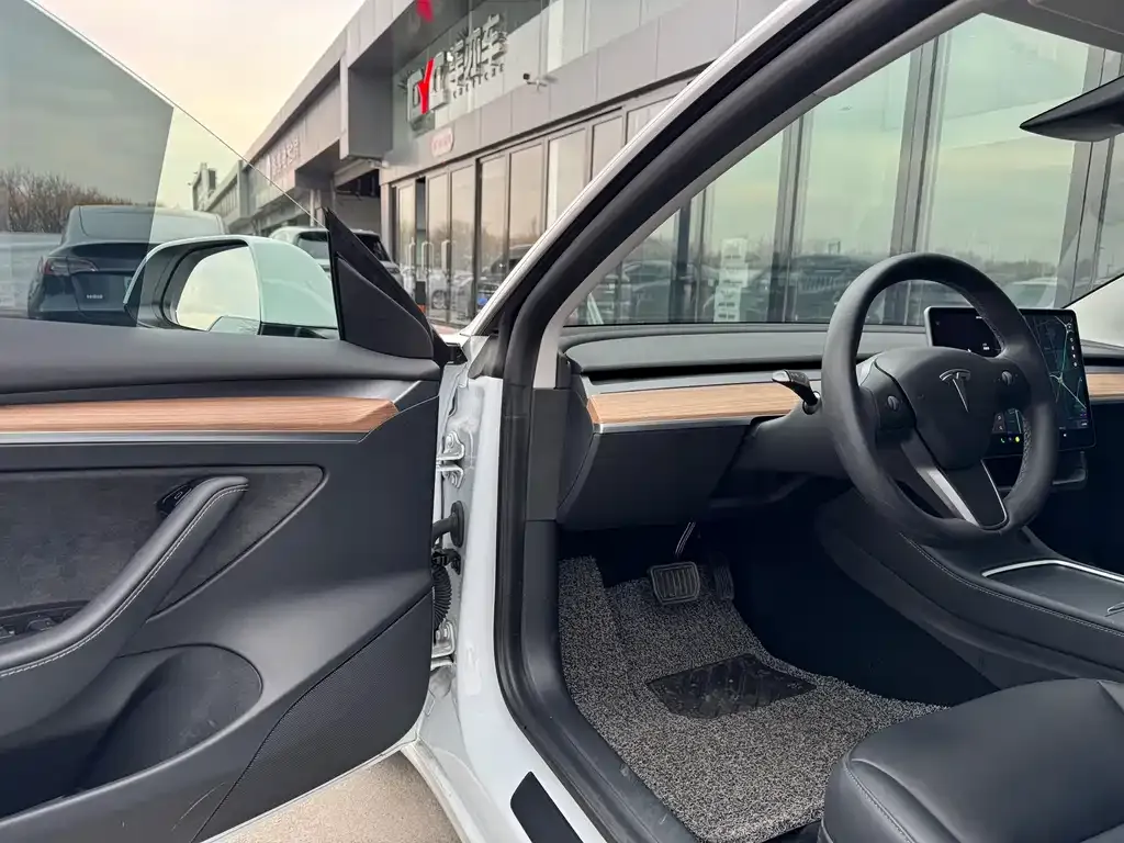 Tesla Model 3 2021 из CN, фото 4