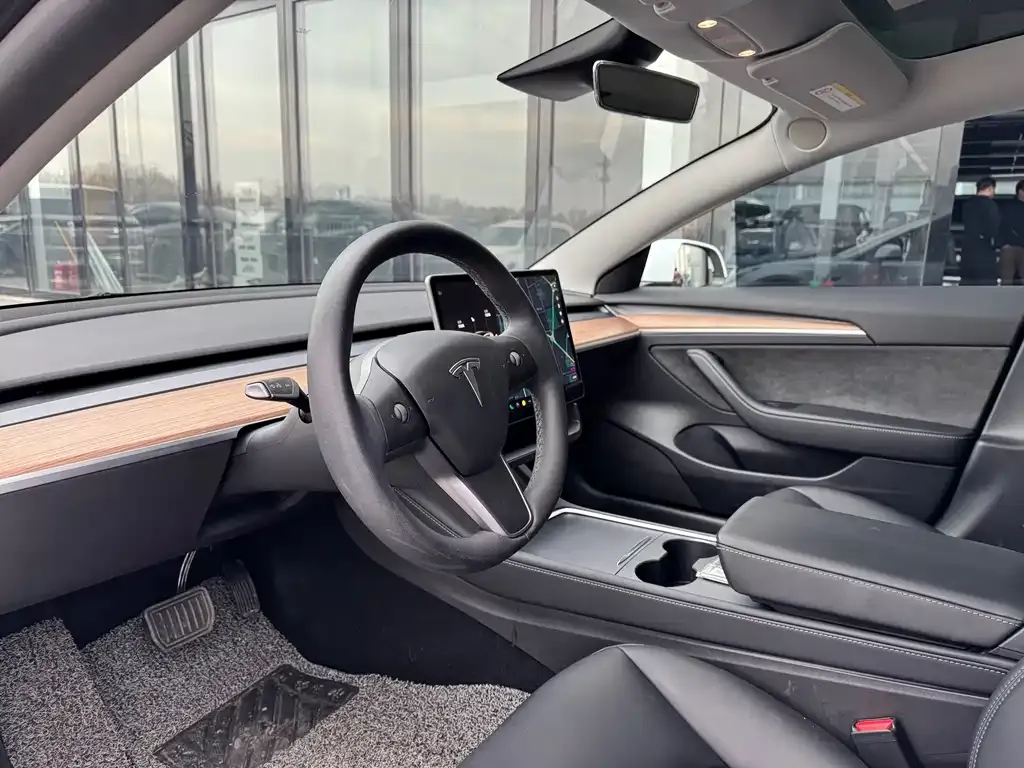 Tesla Model 3 2021 из CN, фото 6