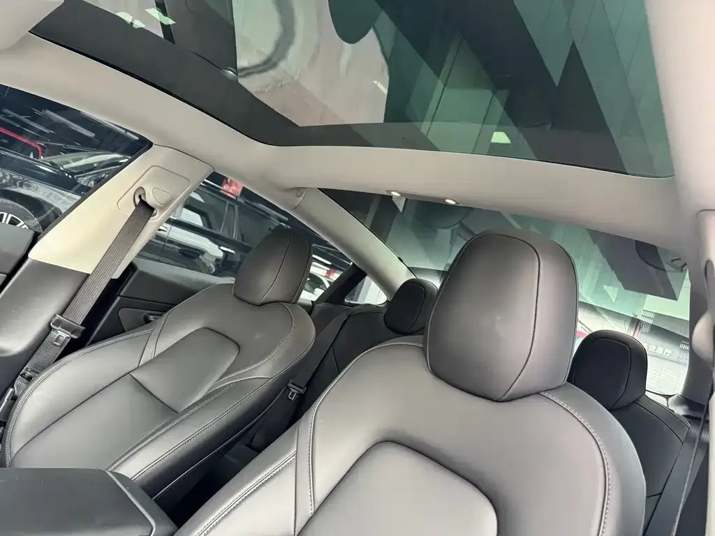 Tesla Model 3 2021 из CN, фото 7