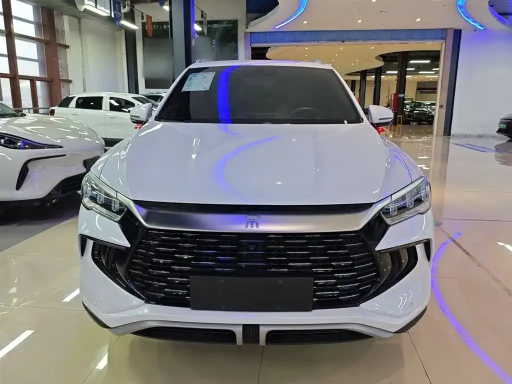BYD Pro New Energy — фото 4