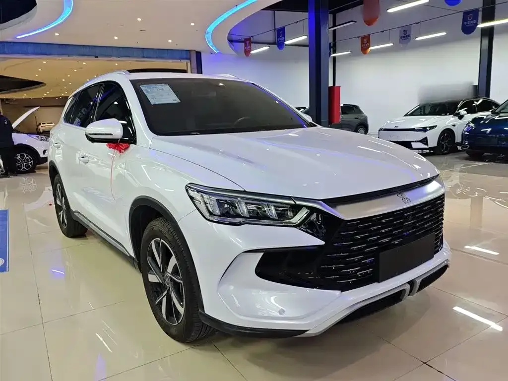 BYD Pro New Energy — фото 3
