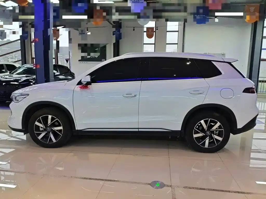 BYD Pro New Energy — фото 5