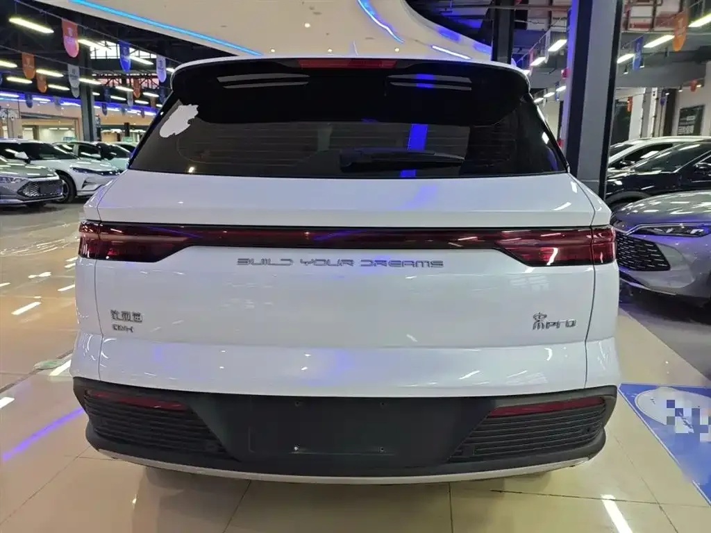 BYD Pro New Energy — фото 6