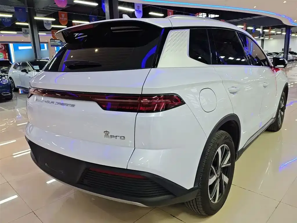 BYD Pro New Energy — фото 8