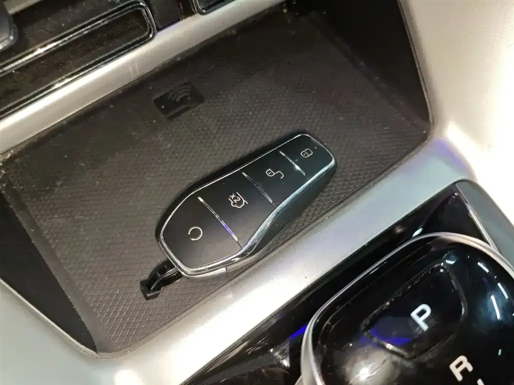 BYD Pro New Energy — фото 9
