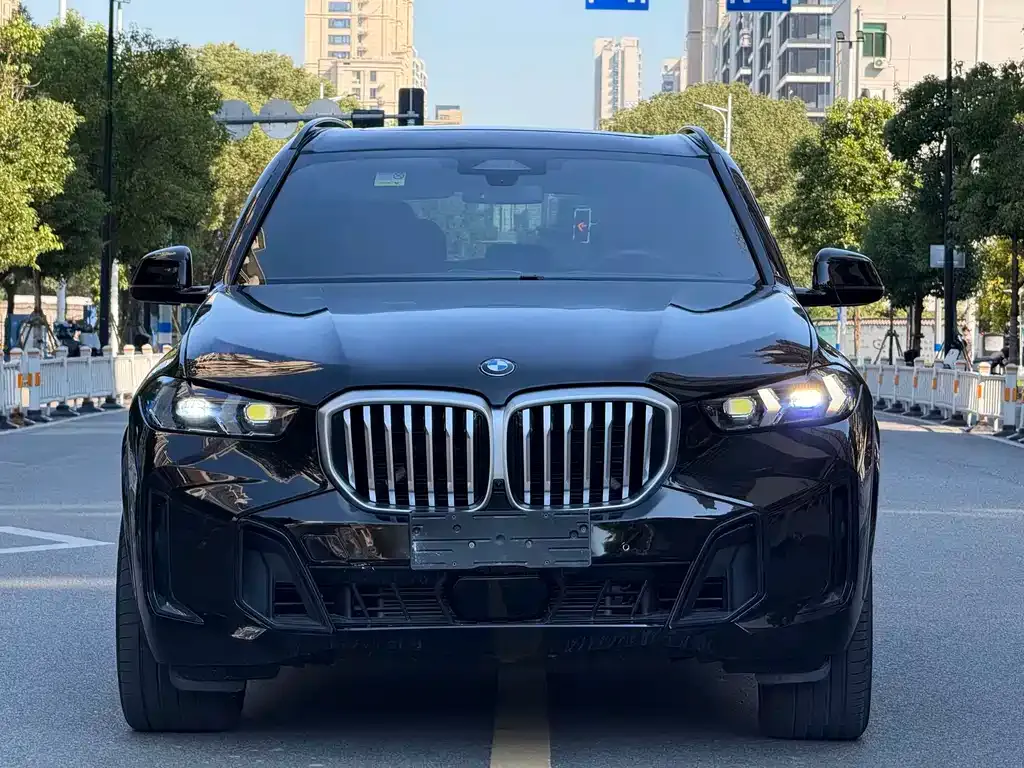 BMW X5 2024 из CN, фото 7