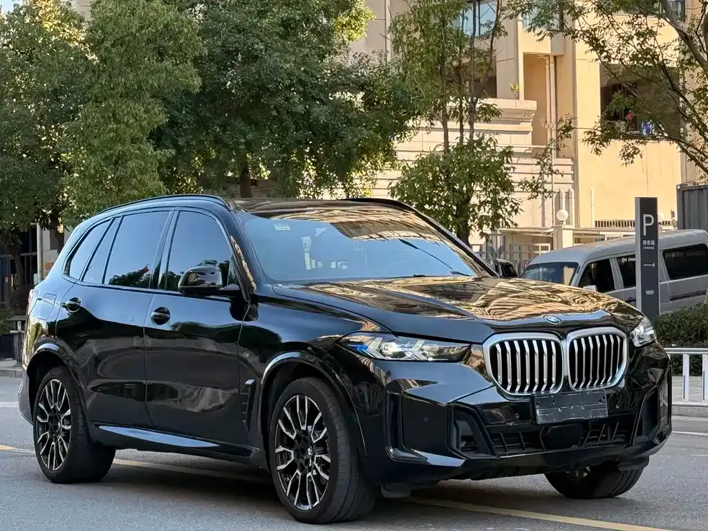 BMW X5 2024 из CN, фото 8