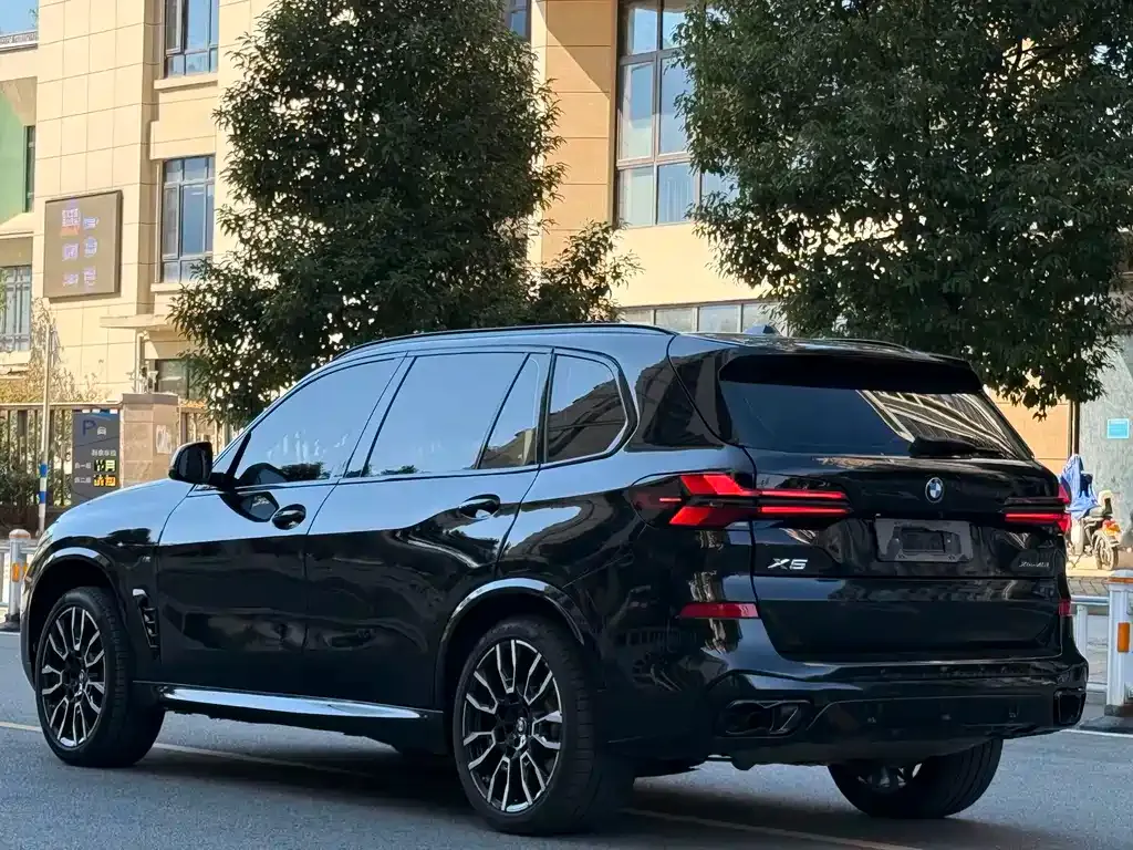BMW X5 2024 из CN, фото 2