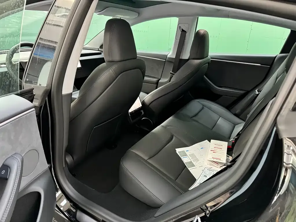 Tesla Model 3 2025 из CN, фото 2