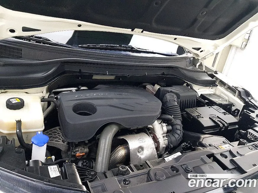 [object Object] TIBOLI 2022 из KR, фото 6