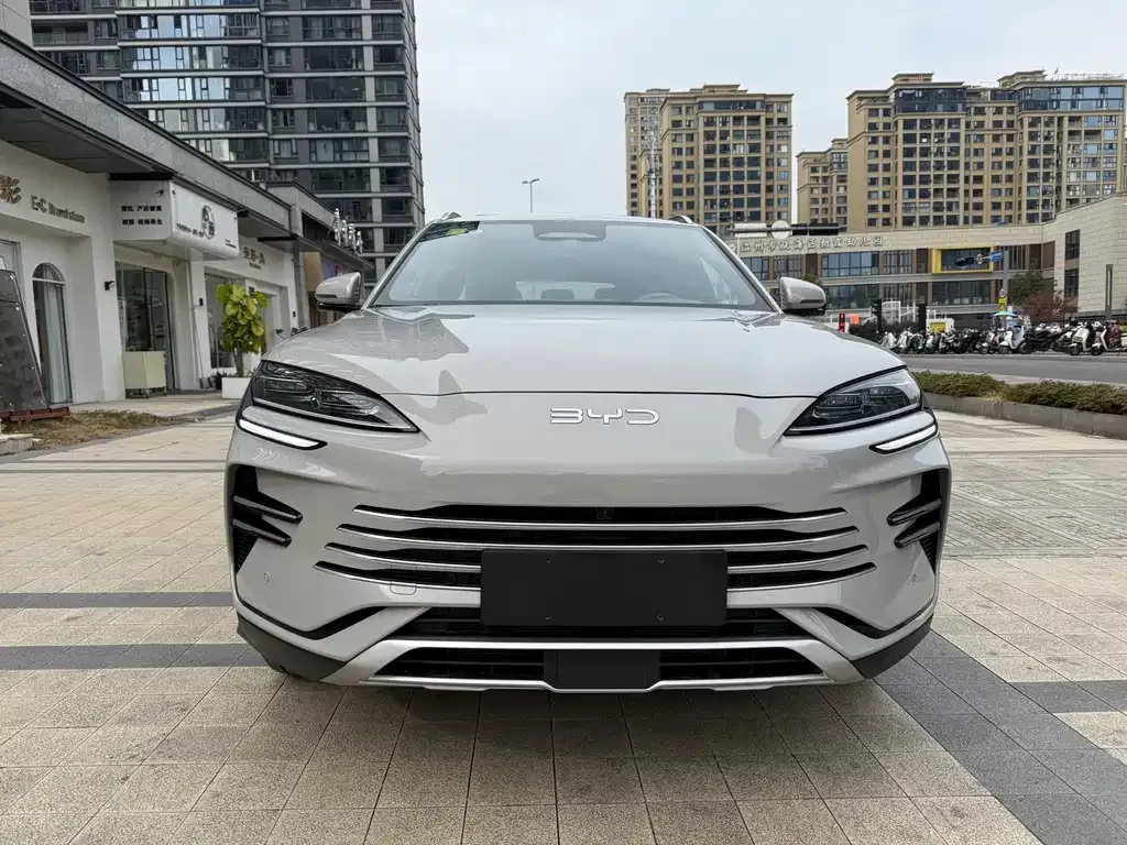 BYD PLUS New Energy — фото 2