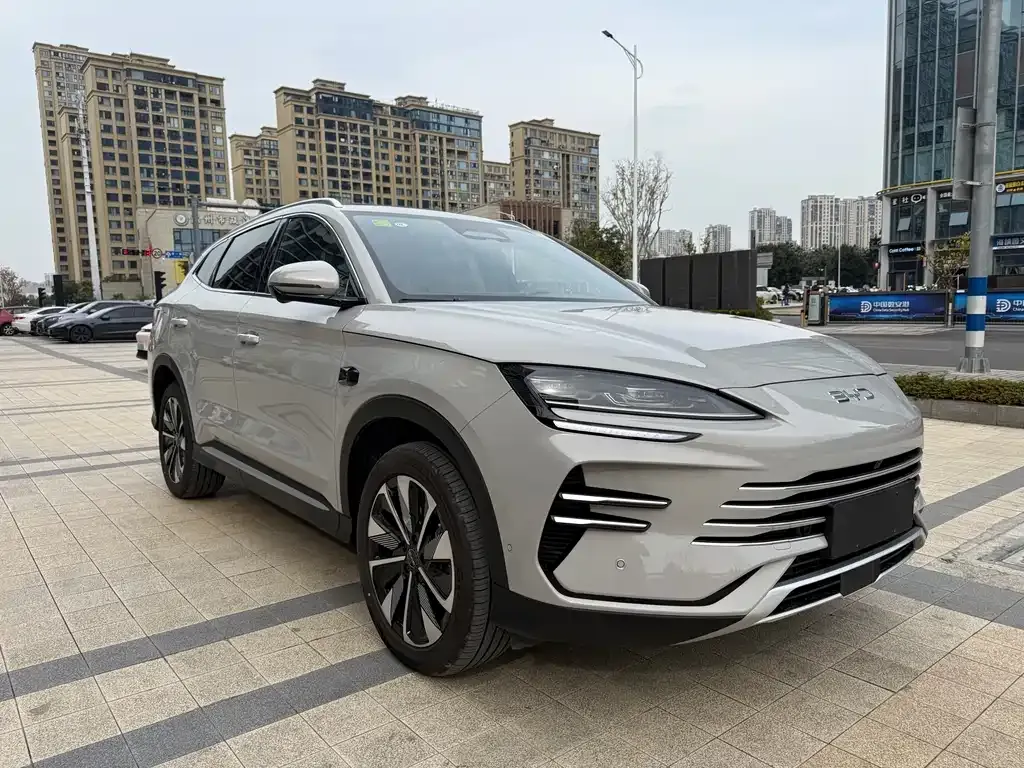 BYD PLUS New Energy — фото 3