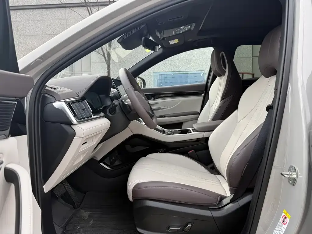 BYD PLUS New Energy — фото 4