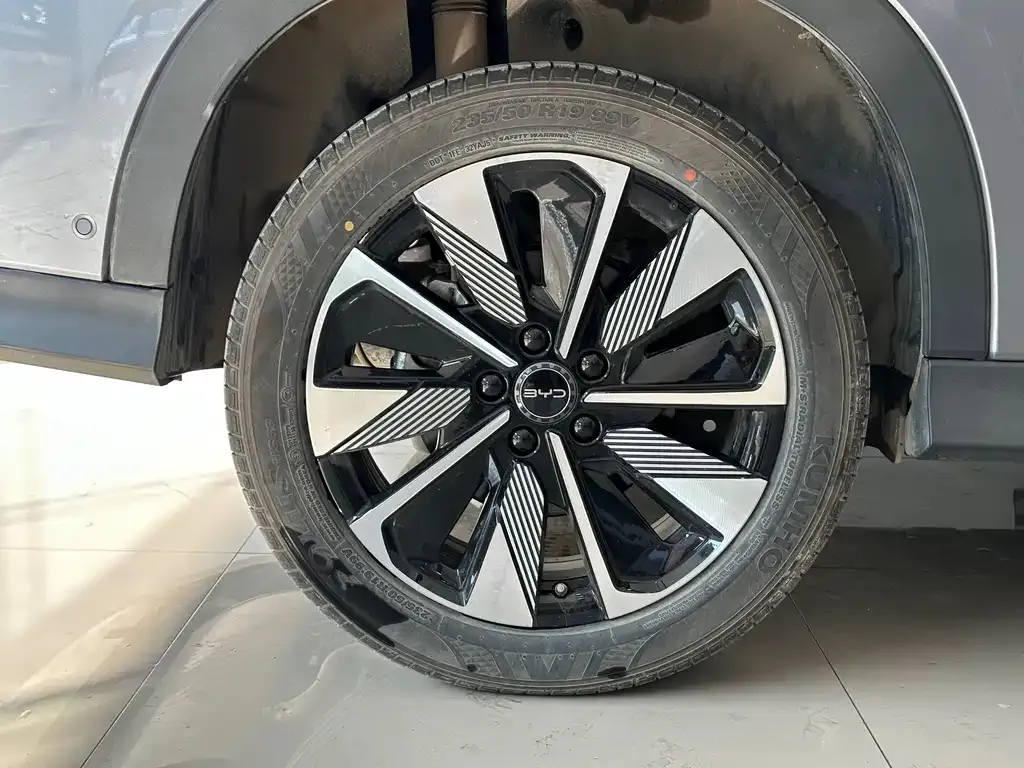 BYD PLUS New Energy 2025 из CN, фото 10