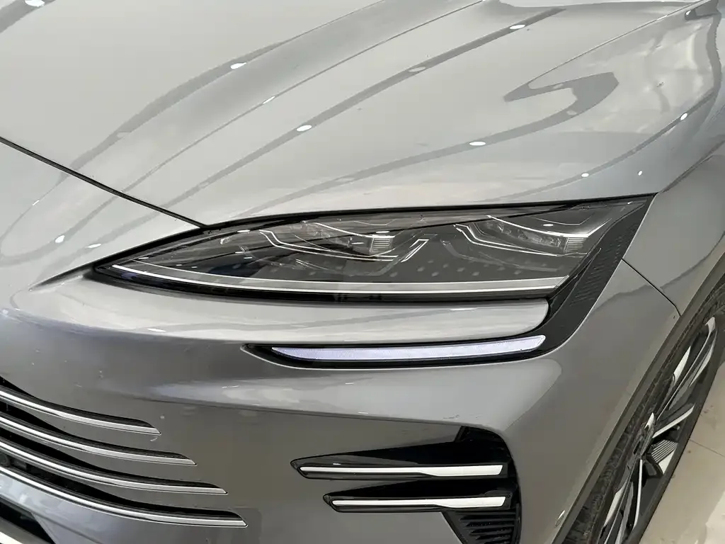 BYD PLUS New Energy 2025 из CN, фото 3