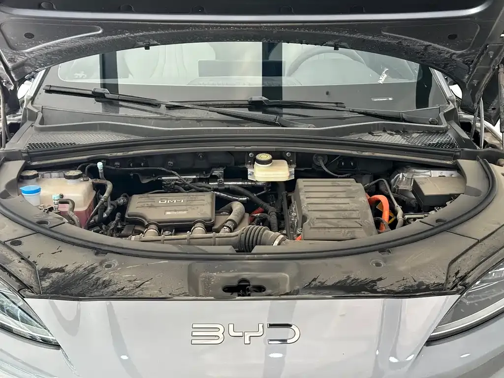 BYD PLUS New Energy 2025 из CN, фото 4
