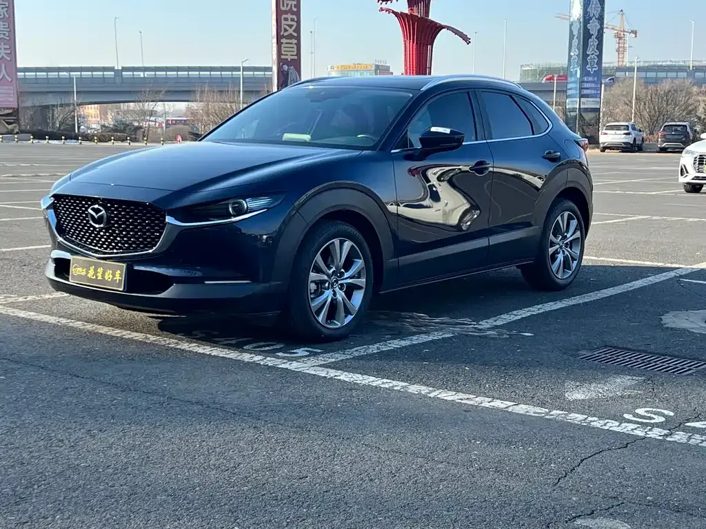 Mazda CX-30 2022 из CN, фото 1