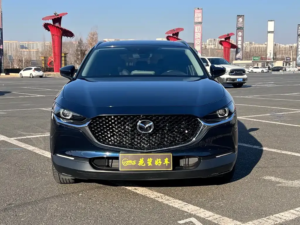 Mazda CX-30 2022 из CN, фото 10