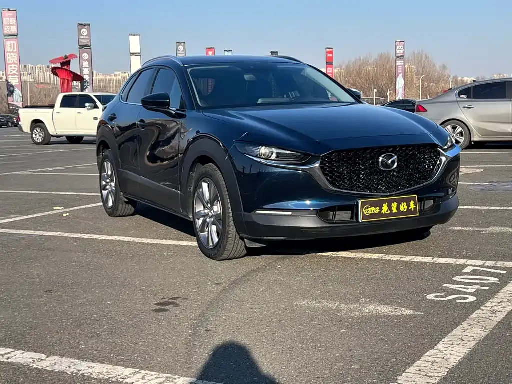 Mazda CX-30 2022 из CN, фото 9