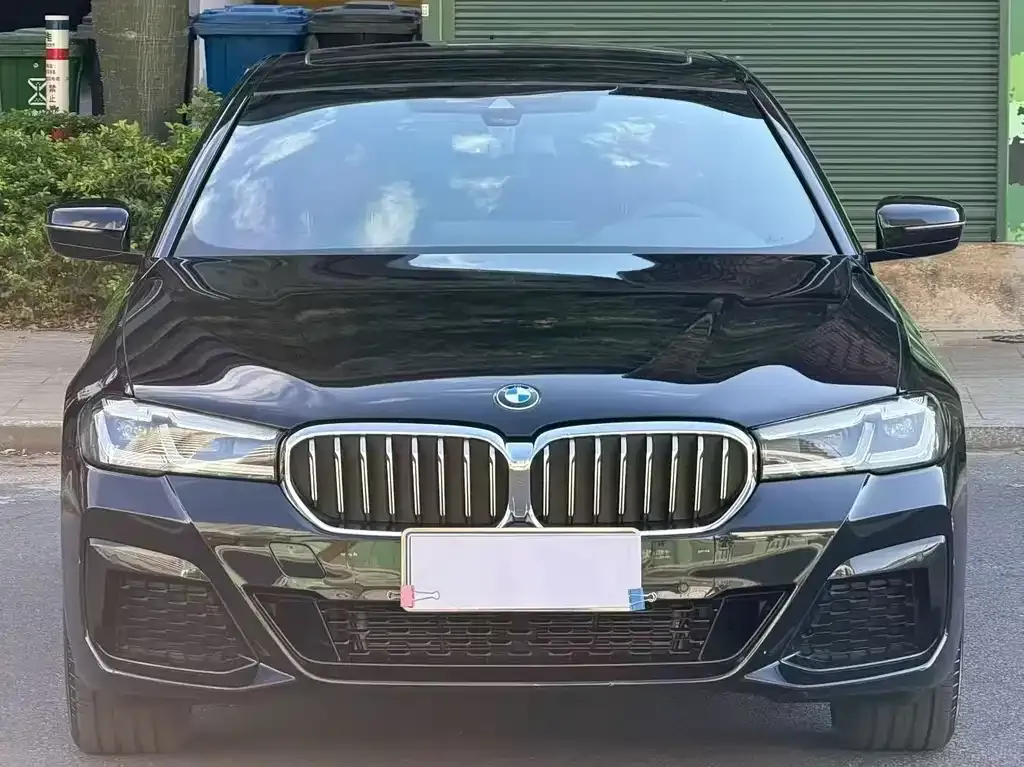 BMW 5 Series 2023 из CN, фото 8