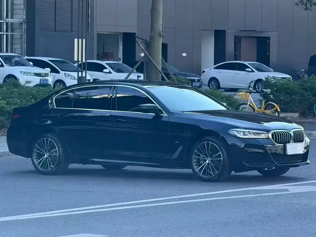BMW 5 Series 2023 из CN, фото 4