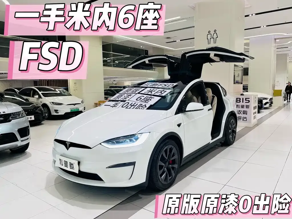Tesla Model X — фото 1