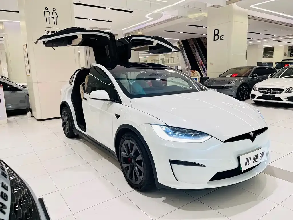 Tesla Model X — фото 10