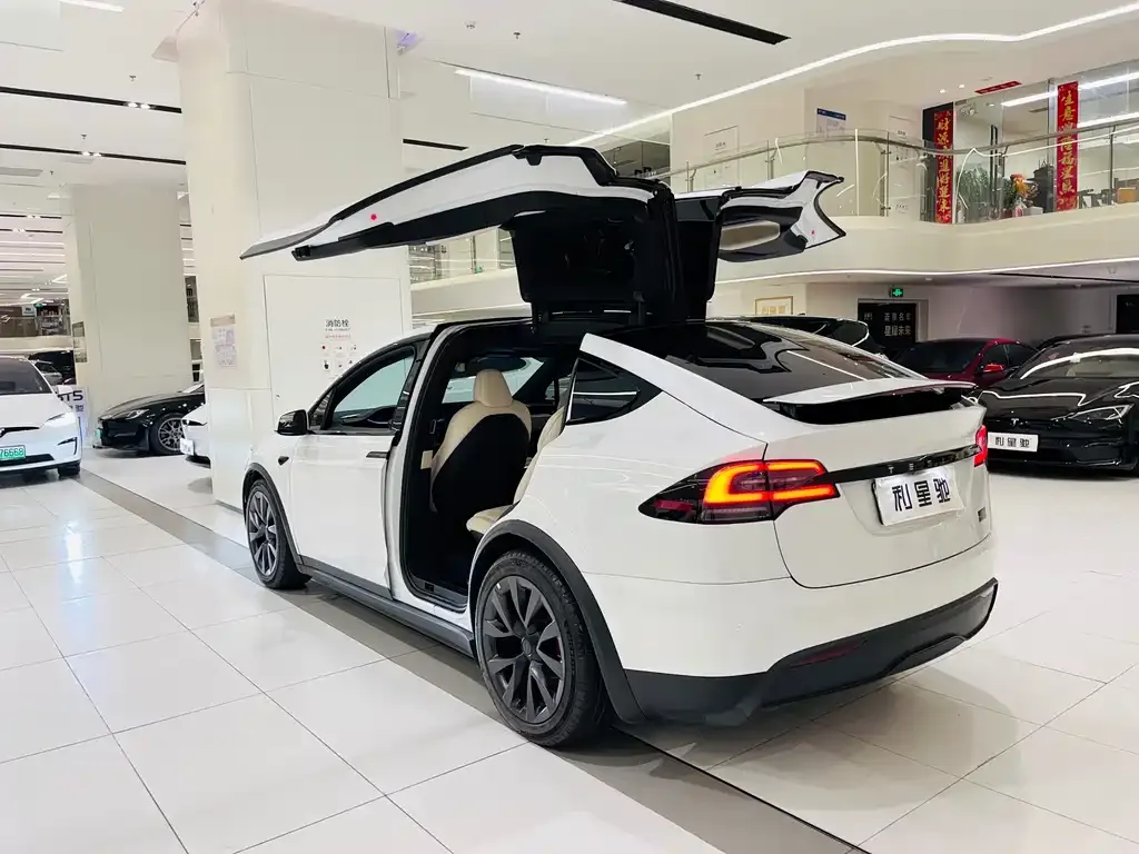 Tesla Model X — фото 9