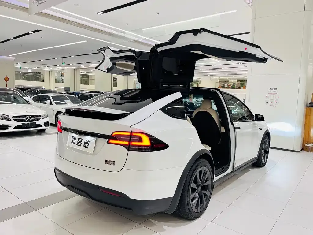 Tesla Model X — фото 6