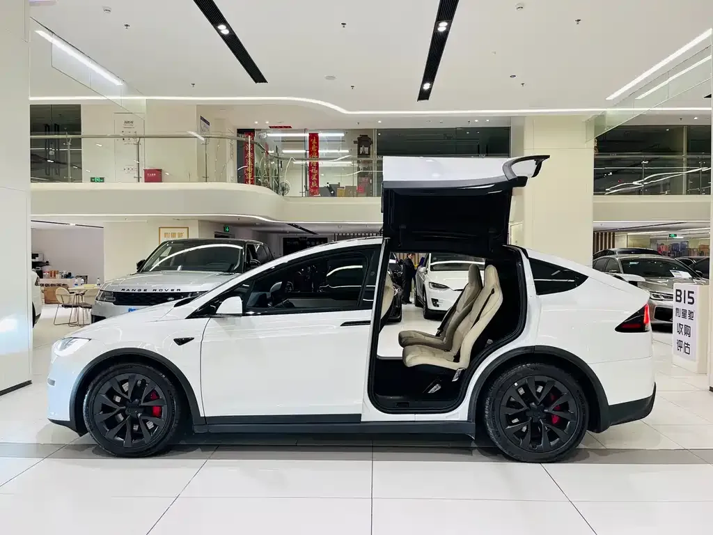 Tesla Model X — фото 8