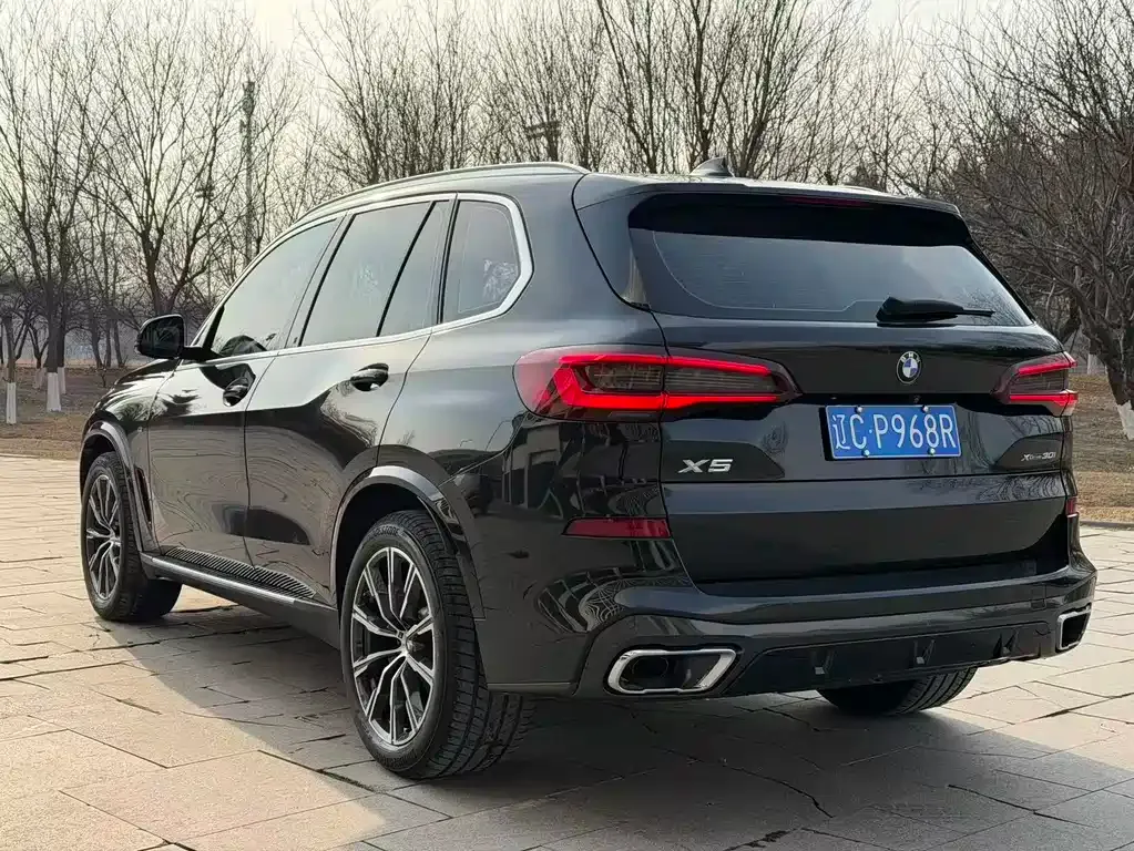 BMW X5 (Import) — фото 6