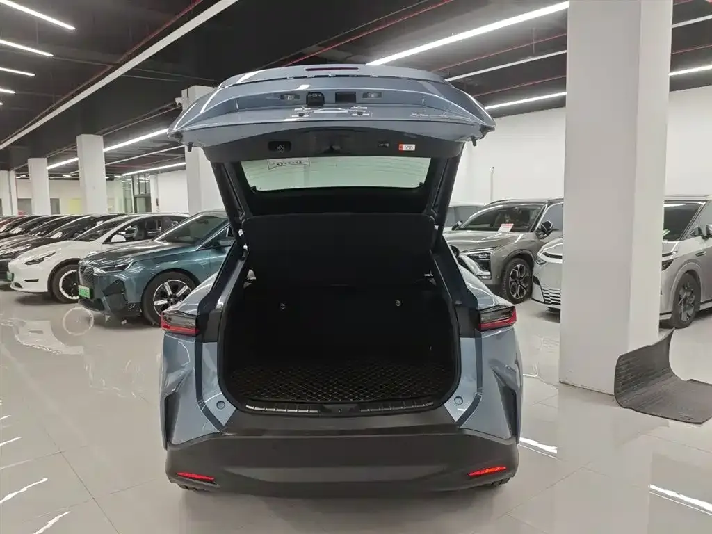 Lexus RZ 2023 из CN, фото 9