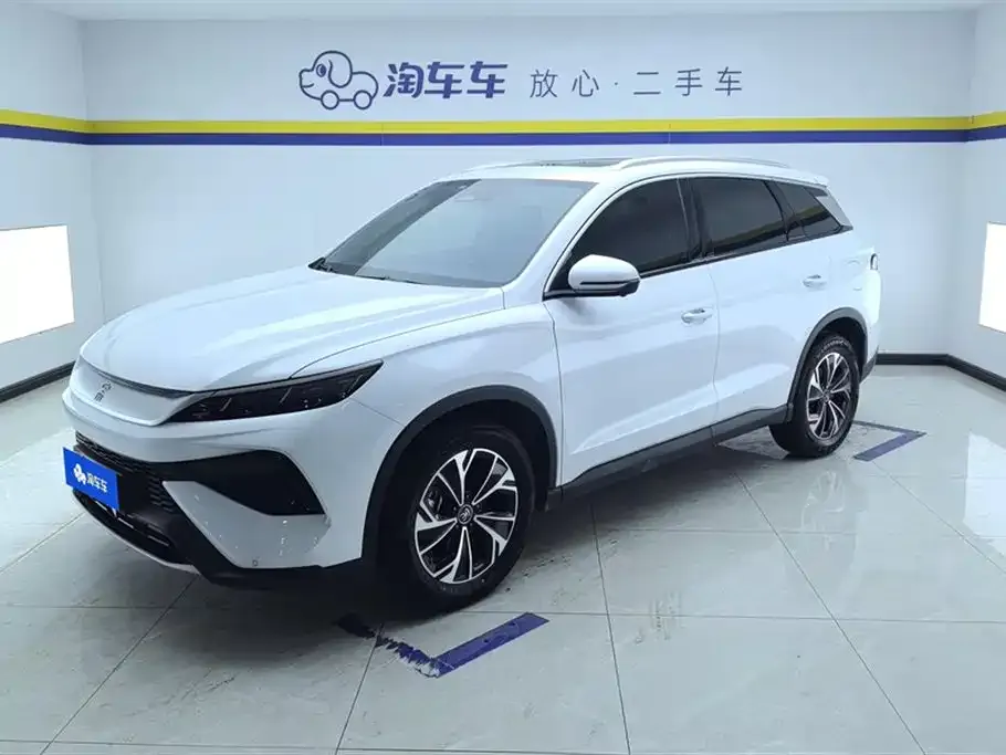 BYD Pro New Energy 2025 из CN, фото 1