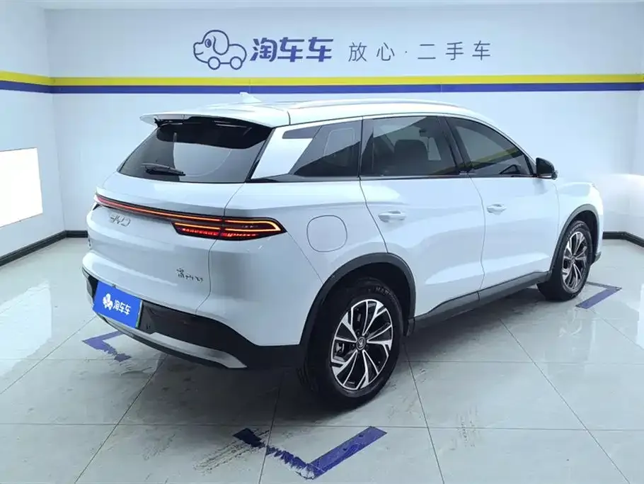 BYD Pro New Energy 2025 из CN, фото 6