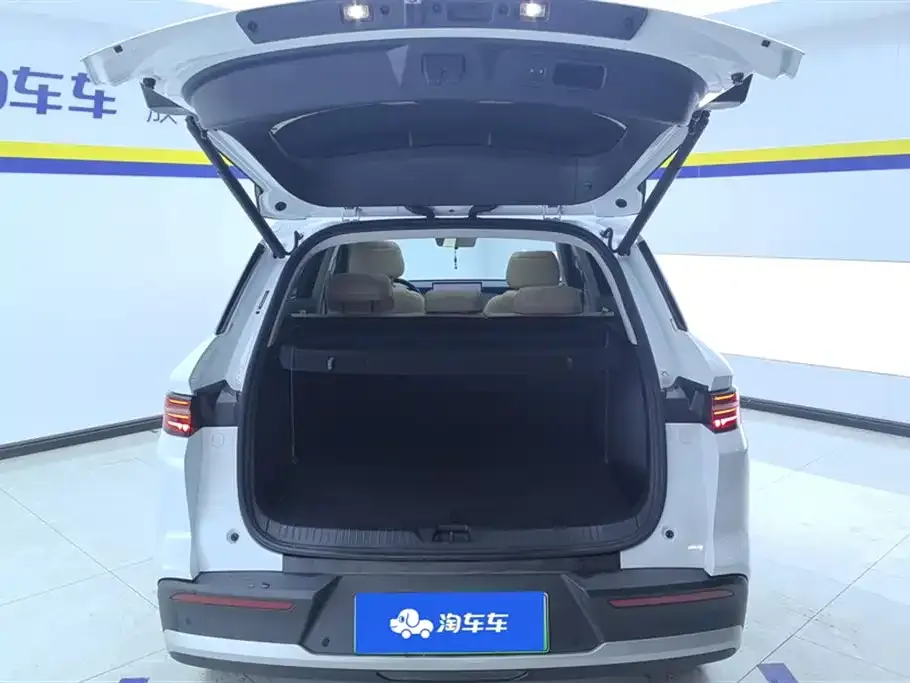 BYD Pro New Energy 2025 из CN, фото 8