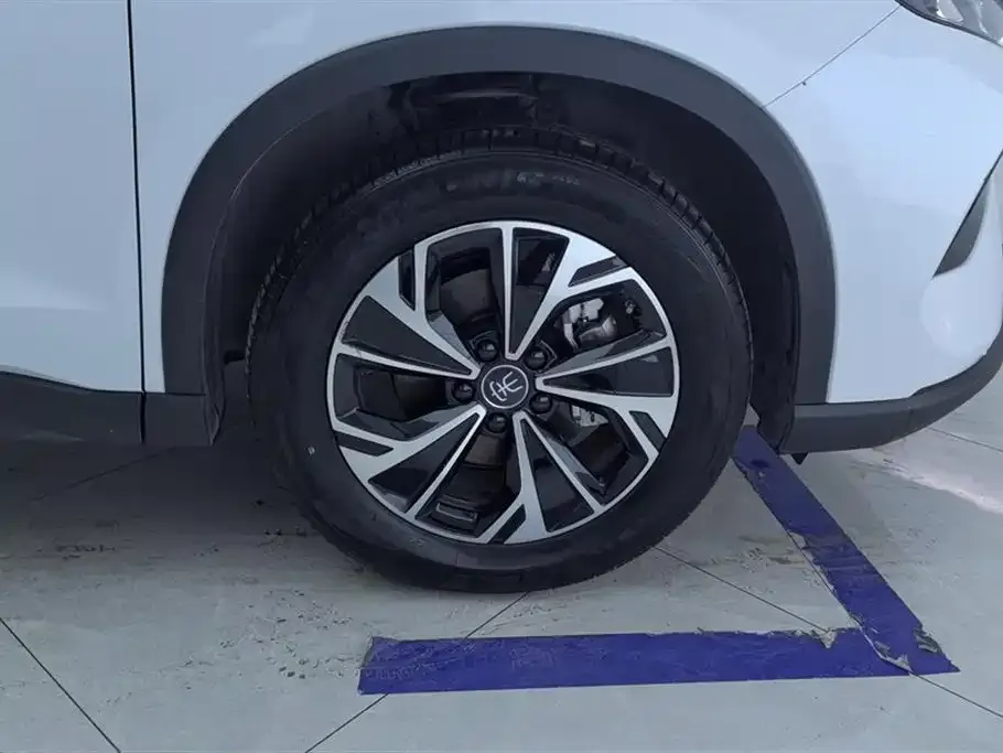 BYD Pro New Energy 2025 из CN, фото 2