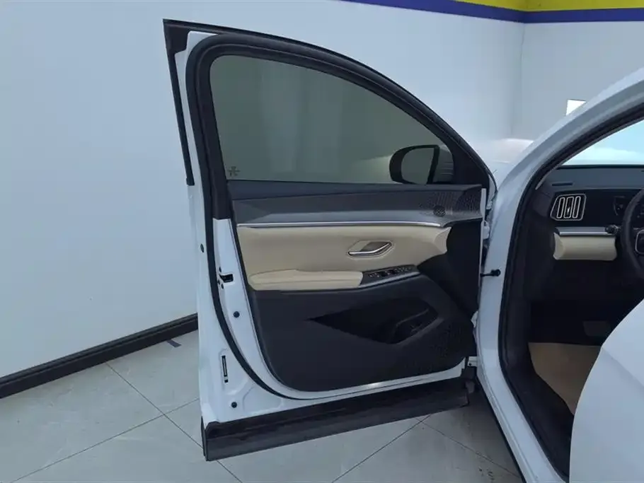 BYD Pro New Energy 2025 из CN, фото 5