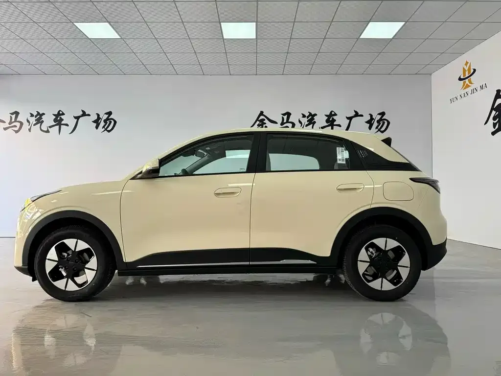 Geely Starburst — фото 6