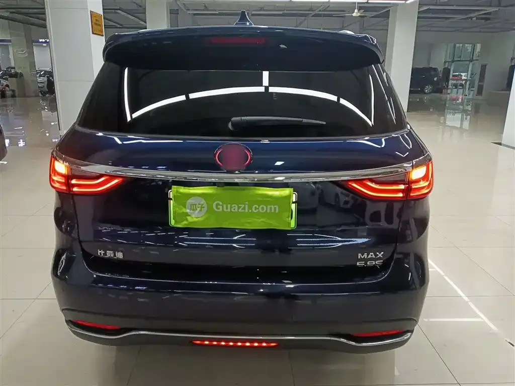 BYD MAX New Energy 2021 из CN, фото 6