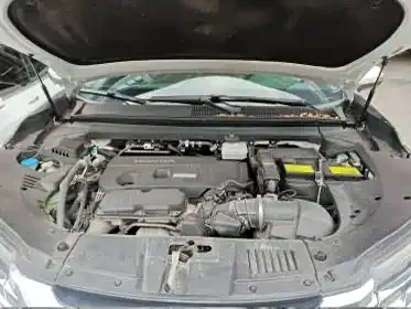 Honda Avancier 2023 из CN, фото 4