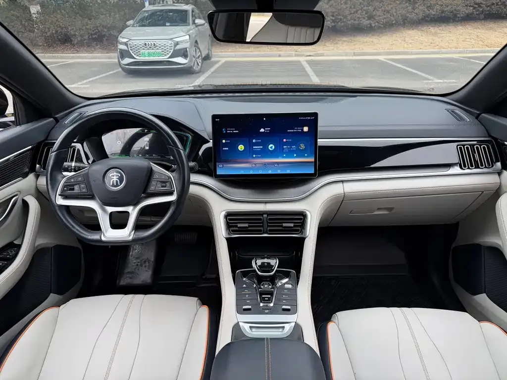 BYD PLUS New Energy 2023 из CN, фото 8