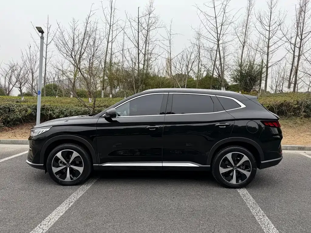 BYD PLUS New Energy 2023 из CN, фото 9