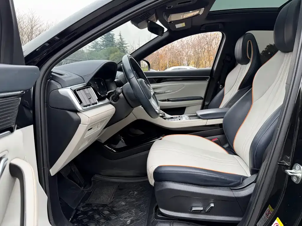 BYD PLUS New Energy 2023 из CN, фото 4