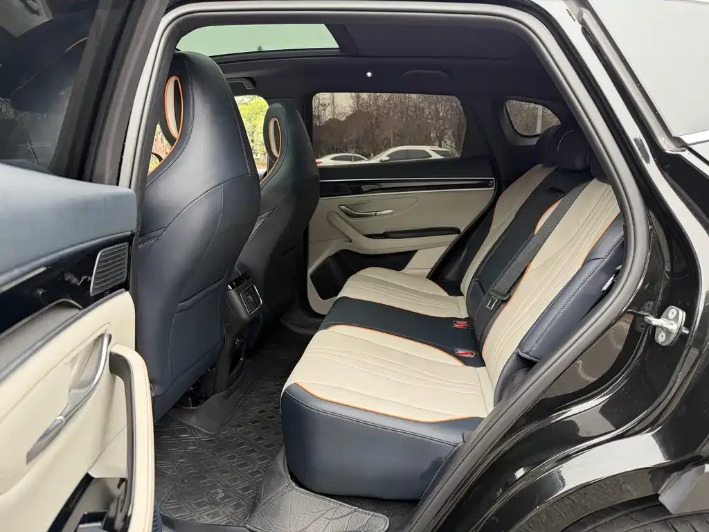 BYD PLUS New Energy 2023 из CN, фото 3