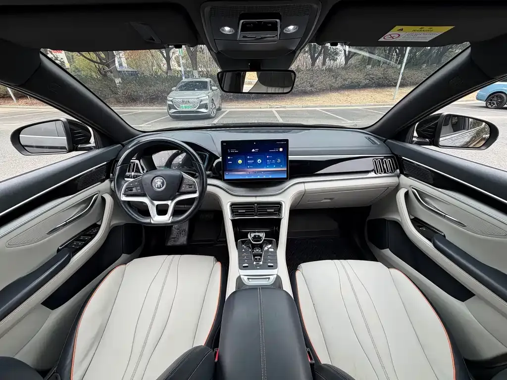 BYD PLUS New Energy 2023 из CN, фото 6