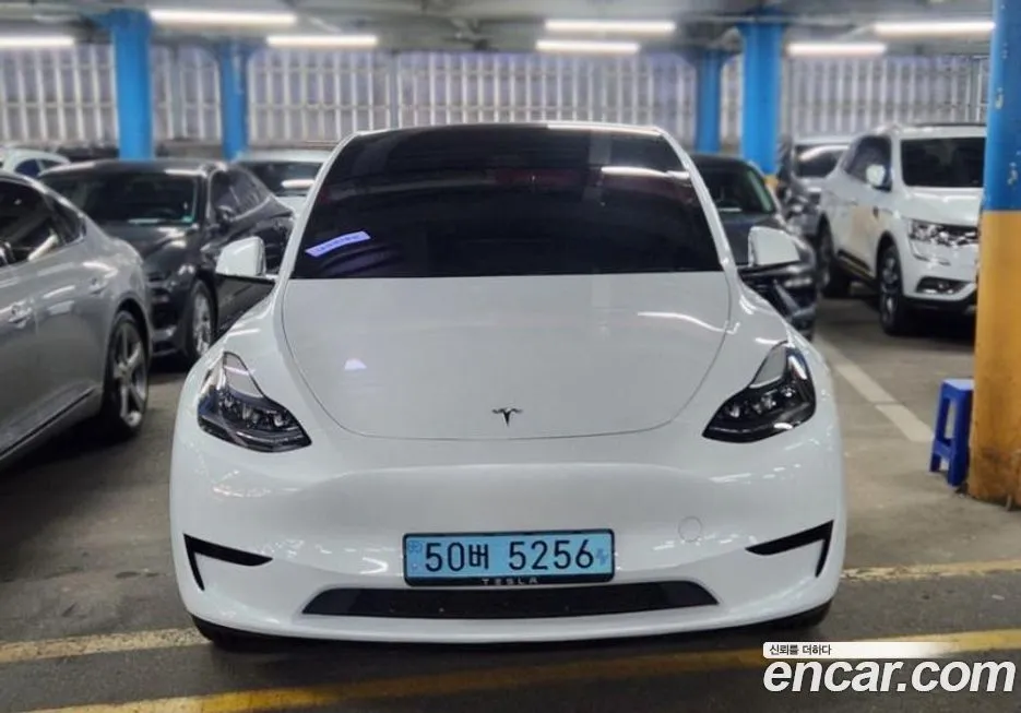 Tesla Model Y — фото 1